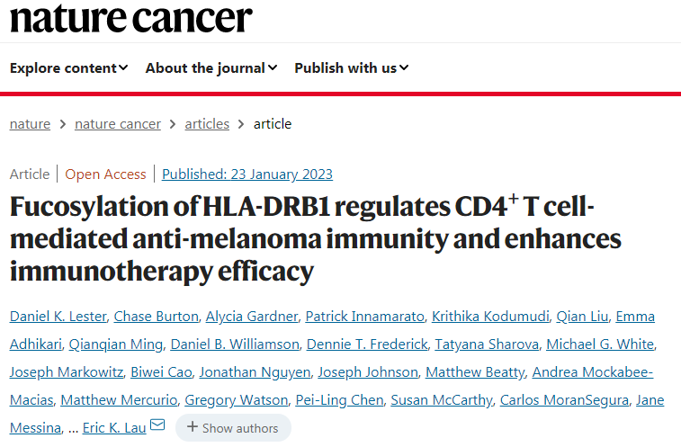 巖藻糖基化HLA-DRB1蛋白調節(jié)CD4+T細胞介導的抗黑色素瘤免疫并增強免疫治療效果