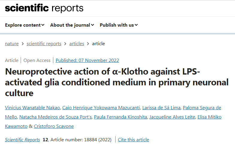 蛋白質klotho保護膠質細胞免受炎癥和死亡的影響