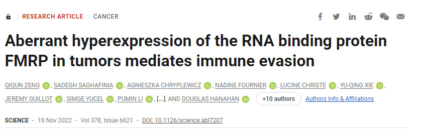 一種蛋白質在幫助腫瘤逃脫免疫損傷方面起著關鍵作用