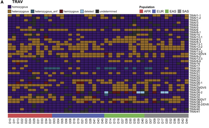 45名供體的TRAV和TRBV基因含量