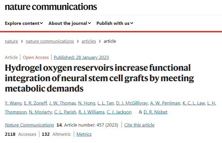 研究人員開發(fā)了新的水凝膠可以安全地將干細(xì)胞輸送到小鼠的腦損傷部位