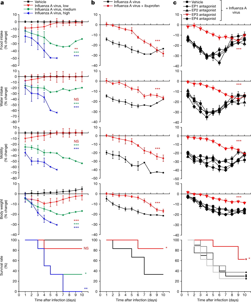 感感染通過EP3受體誘導(dǎo)多種疾病癥狀