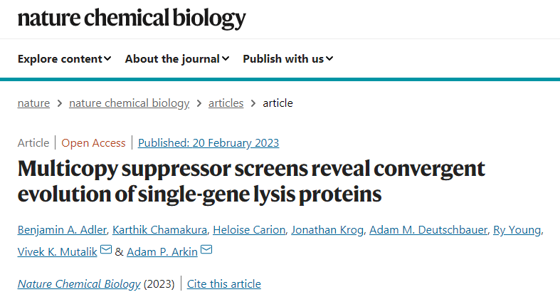 開發(fā)了一種高通量基因篩查方法識別單基因裂解蛋白（single-gene lysis proteins）