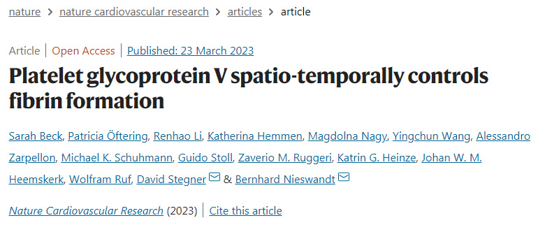 研究人員破譯了纖維蛋白形成的中央調(diào)節(jié)機制