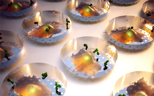 Nature子刊：實(shí)時(shí)蛋白質(zhì)分泌檢測技術(shù)