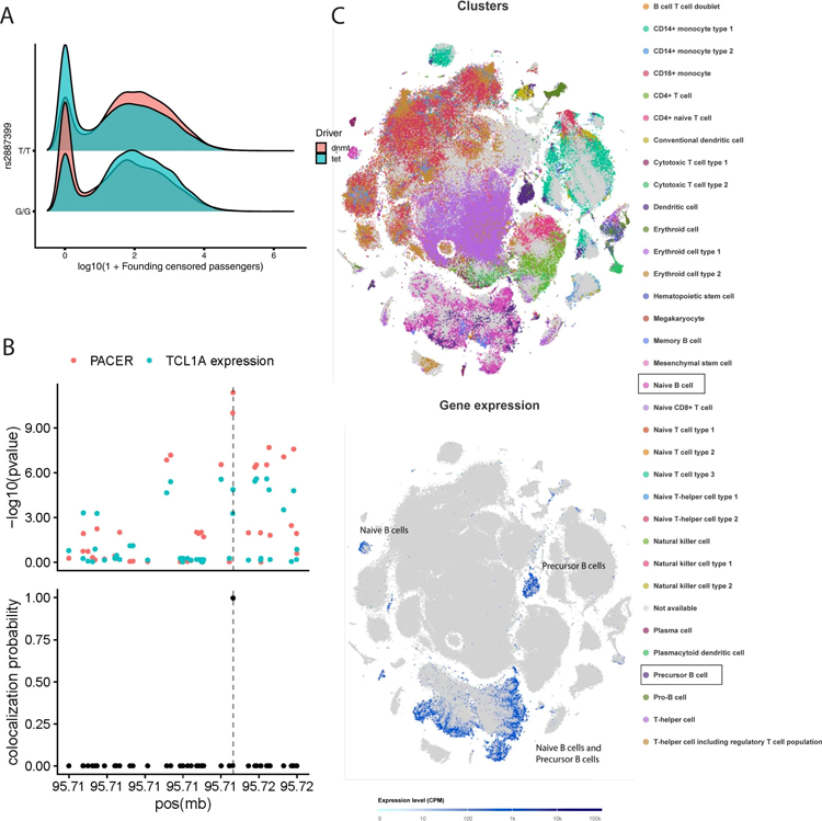 GWAS顯示rs2887399是克隆擴(kuò)增速率的調(diào)節(jié)劑