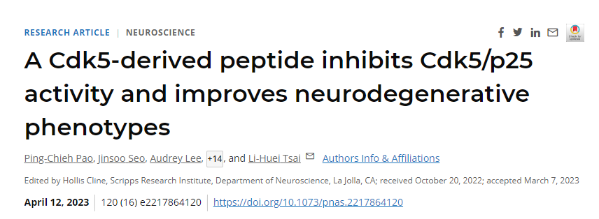 研究發(fā)現(xiàn)通過干擾阿爾茨海默病患者大腦中通常過度活躍的一種酶來逆轉神經退行性變