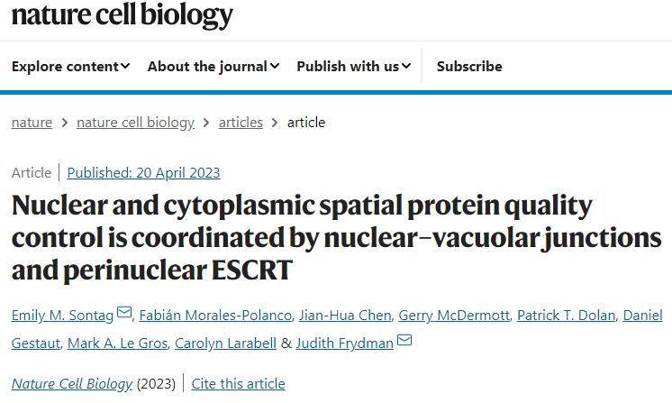 研究人員發(fā)現(xiàn)了一種細胞途徑可以清除細胞核中錯誤折疊的蛋白質 研究人員發(fā)現(xiàn)了一種細胞途徑可以清除細胞核中錯誤折疊的蛋白質