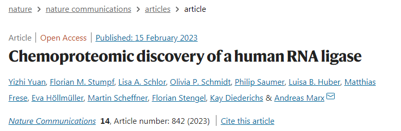 蛋白質(zhì)C12orf29具有抵抗細(xì)胞應(yīng)激的保護(hù)功能