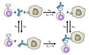 新SNAPtag技術(shù)定制基于T細(xì)胞的免疫療法