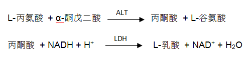 谷丙轉(zhuǎn)氨酶（ALT）檢測(cè)原理