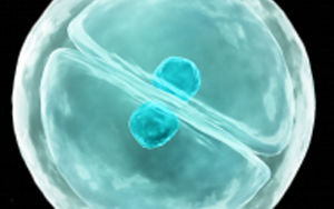 eLife：細胞真是“成精了”，它能模仿人類交流方式，一旦“關(guān)系”破裂，癌癥和糖尿病都找上門