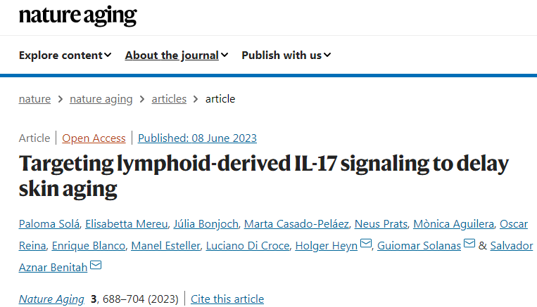 研究人員發(fā)現(xiàn)IL-17蛋白是皮膚衰老的決定性因素 研究人員發(fā)現(xiàn)IL-17蛋白是皮膚衰老的決定性因素