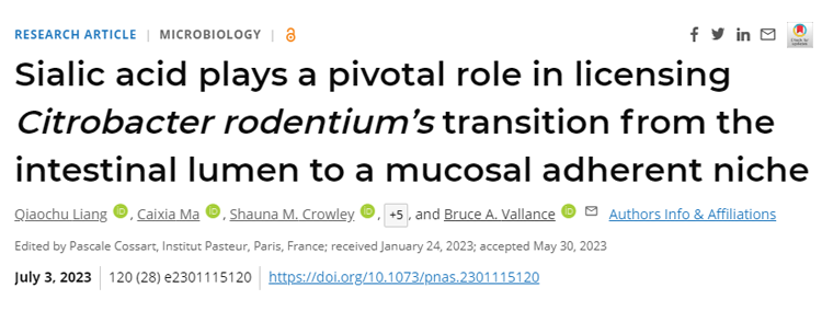 研究表明，腸道細(xì)菌感染和一系列與腸道細(xì)菌有關(guān)的慢性疾病都有可能成為治療目標(biāo)