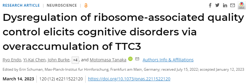研究人員首次明確了細胞中蛋白質(zhì)合成過程中的質(zhì)量控制與神經(jīng)系統(tǒng)疾病之間的聯(lián)系 研究人員首次明確了細胞中蛋白質(zhì)合成過程中的質(zhì)量控制與神經(jīng)系統(tǒng)疾病之間的聯(lián)系