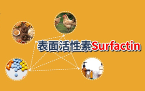 【脂肽類表面活性劑】表面活性素(Surfactin, CAS:24730-31-2)