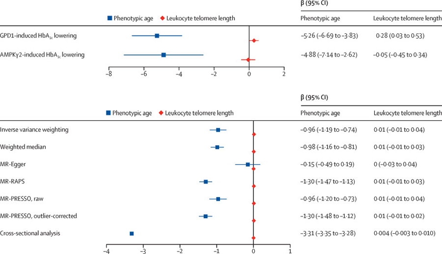 雙內(nèi)含子靶向CRISPR-Cas9介導(dǎo)RUNX1-RUNX1T1的破壞