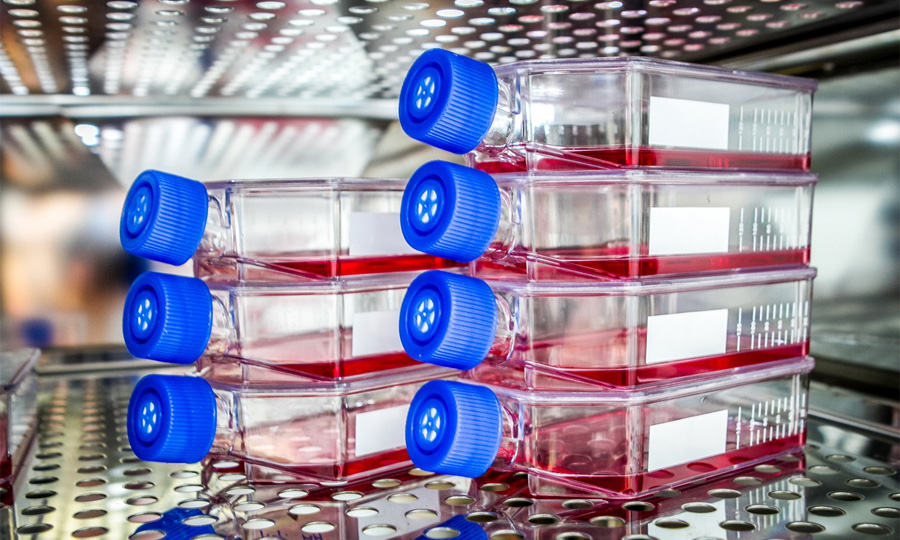 生物制藥中細(xì)胞培養(yǎng)