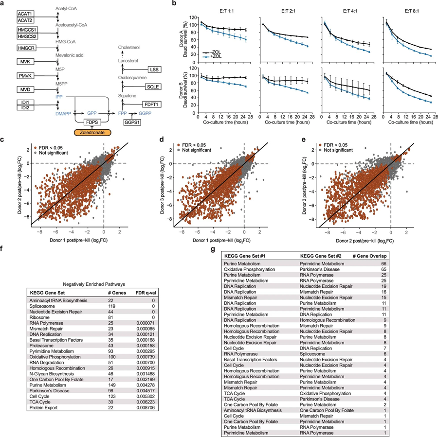 甲羥戊酸途徑效應(yīng)、共培養(yǎng)篩選一致性和基因集富集分析（GSEA）