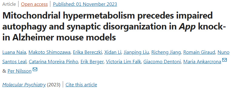 腸道細(xì)菌產(chǎn)生的短鏈脂肪酸(SCFAs)負(fù)責(zé)啟動(dòng)樹突細(xì)胞向腸腔延伸