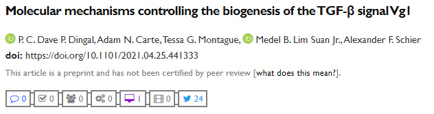 控制轉(zhuǎn)化生長因子-β信號Vg1生物發(fā)生的分子機制