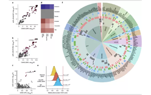高血壓遺傳嗎？Nature子刊揭示高血壓的遺傳機(jī)制