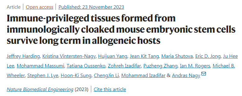 免疫隱形小鼠胚胎干細(xì)胞形成的免疫特權(quán)組織在異基因宿主中長(zhǎng)期存活