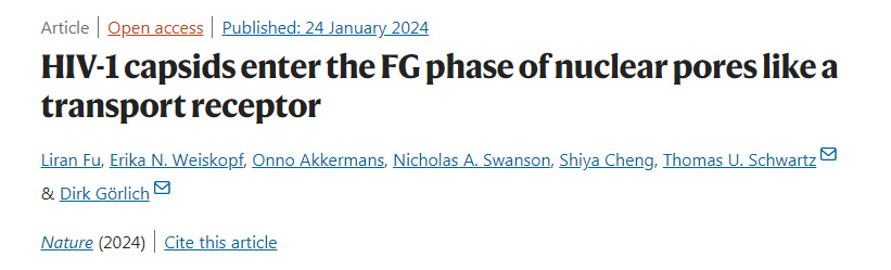 HIV-1的衣殼像細(xì)胞的貨物受體一樣進(jìn)入細(xì)胞核