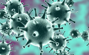 感染318天，體內(nèi)變異40次！COVID-19病例揭示新冠病毒的“超級進化史”