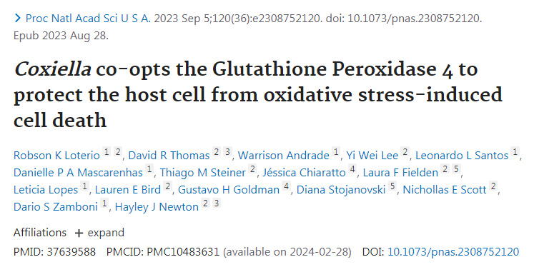 Coxiella產(chǎn)生的谷胱甘肽過氧化物酶4保護(hù)宿主細(xì)胞免受氧化應(yīng)激誘導(dǎo)的細(xì)胞凋亡