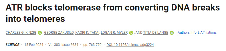 ATR阻止端粒酶將DNA斷裂轉化為端粒