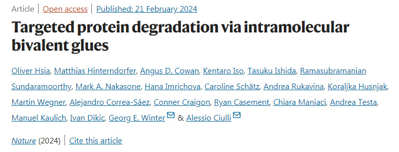 分子內(nèi)二價(jià)膠靶向降解蛋白質(zhì)
