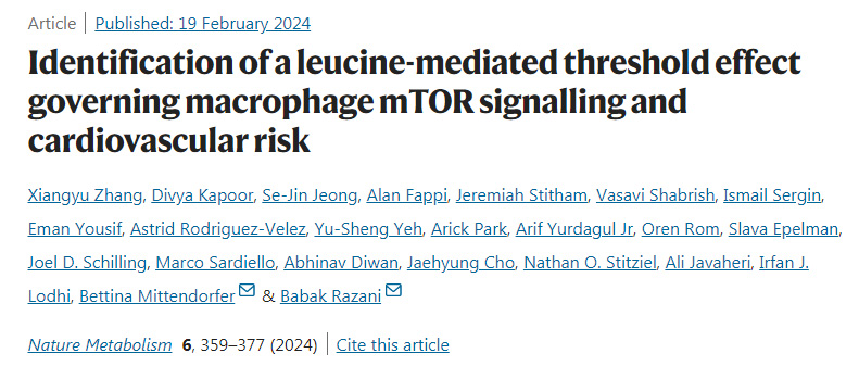 鑒別亮氨酸介導的控制巨噬細胞mTOR信號傳導和心血管風險的閾值效應(yīng)