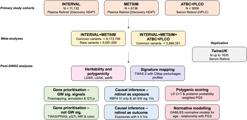 循環(huán)視黃醇全基因組分析研究設(shè)計綜述