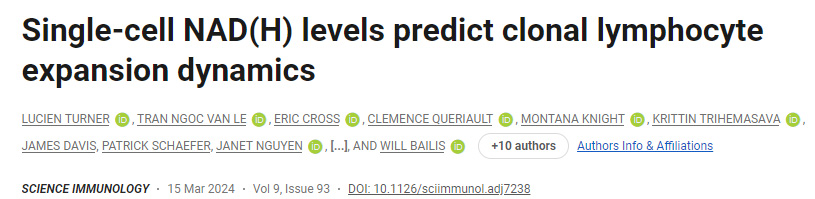 單細(xì)胞NAD（H）水平預(yù)測(cè)克隆性淋巴細(xì)胞擴(kuò)增動(dòng)力學(xué)