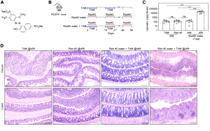 食品中廣泛使用的誘惑紅和落日黃，會(huì)誘導(dǎo)和加速結(jié)腸炎發(fā)展！