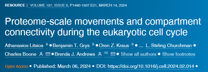 真核細胞周期中蛋白質(zhì)組規(guī)模的運動和隔室連接