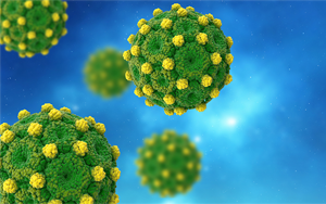 Cell揭示一種前所未見的機制：乙型肝炎的致命弱點