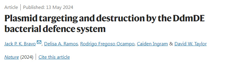 DdmDE細菌防御系統(tǒng)對質(zhì)粒的靶向和破壞