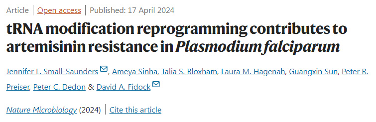 tRNA修飾重編程有助于惡性瘧原蟲對青蒿素的耐藥性