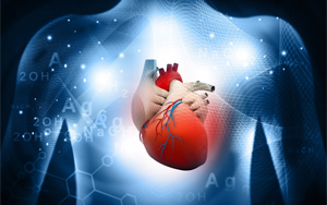 阻斷CDK7蛋白可以防止與癌癥治療相關(guān)的心臟損傷