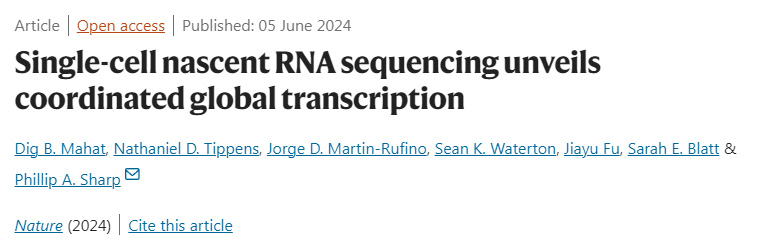 單細胞新生RNA測序揭示協(xié)調(diào)的全球轉(zhuǎn)錄