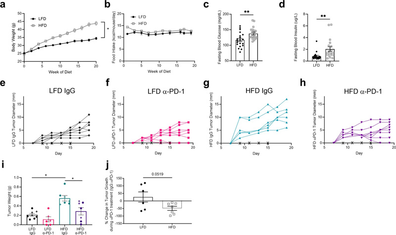 高脂肪飲食喂養(yǎng)誘導肥胖表型 高脂肪飲食喂養(yǎng)誘導肥胖表型