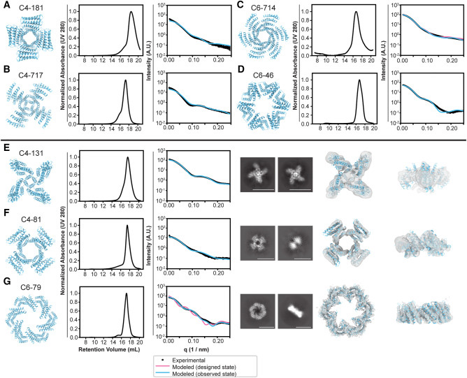 設計的蛋白質低聚物的生物物理特性 設計的蛋白質低聚物的生物物理特性