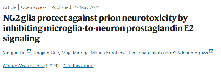 NLRC5感知NAD+損耗形成泛視小體并驅(qū)動泛視癥和炎癥 NLRC5感知NAD+損耗形成泛視小體并驅(qū)動泛視癥和炎癥