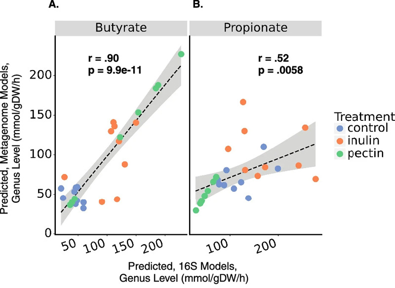 使用16S擴增子測序或鳥槍宏基因組測序數(shù)據(jù)對SCFA產(chǎn)生的預測顯示出一致性