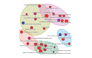 Nature子刊：逆轉(zhuǎn)肝臟衰老的突破性進(jìn)展