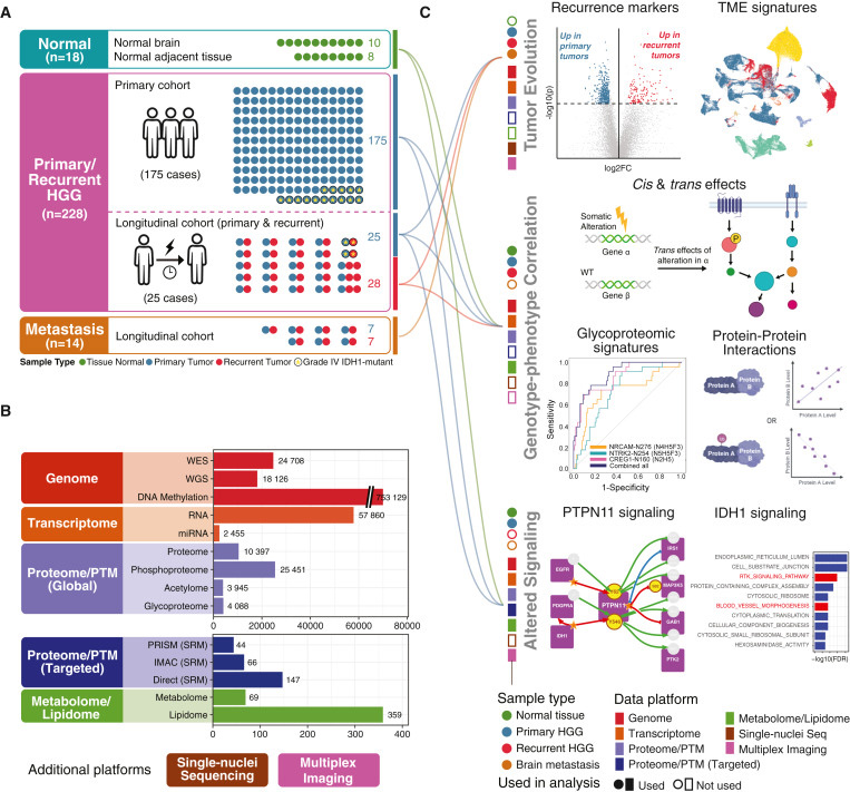 研究對象、技術(shù)平臺(tái)和檢測概述