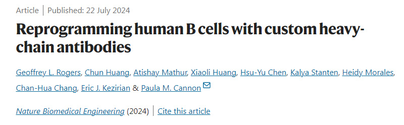 用定制的重鏈抗體重新編程人類B細(xì)胞 用定制的重鏈抗體重新編程人類B細(xì)胞