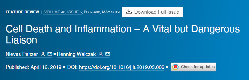 細胞死亡和炎癥重要但危險的聯(lián)系 細胞死亡和炎癥重要但危險的聯(lián)系